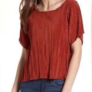 Madewell Micro Pleat Short Sleeve Rust Lettuce Top Size Small